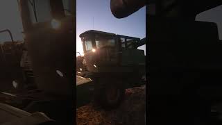 Unloading corn corny farming cornfedbeef agriculture fyp shorts [upl. by Brenton]