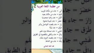 لغتنا العربية الجميلة  رحلة في عالم اللغة العربية  معاني الكلمات في اللغة العربية 👌 [upl. by Ricard951]