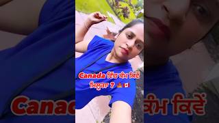 Canada ਵਿਚ ਕੰਮ ਕਿਵੇਂ ਮਿਲੂਗਾ 🍁🇨🇦। canadavisa facts touristvisa [upl. by Dorette]