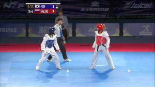 2013 WTF World Taekwondo Championships Final  Female 46kg [upl. by Llerrej]