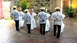 Baile La Denesa Proyecto Folclore [upl. by Nivlag]