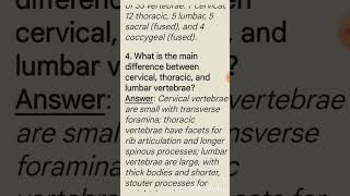 Vertebrae part 1vertebral column zoology shorts [upl. by Aemat]