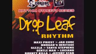 Drop Leaf Riddim Mix 2005 By DJ WOLFPAK [upl. by Akcirred947]