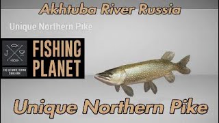 Fishing Planet How to fish with jigs PC PS4 [upl. by Witcher20]