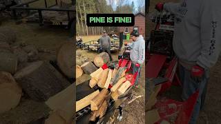 Firewood Friday  Splitting Pine with the 28CC Wood Splitter wolferidge getsplitdone logsplitter [upl. by Hillinck]