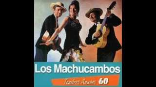 Los Machucambos  Non monsieur 1962 [upl. by Richia]