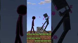 Testing the Limits of Enderman Stickman Animation minecraft animation [upl. by Adala]