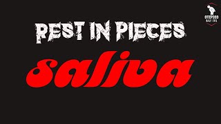 Saliva  Rest In Pieces Karaoke  Instrumental [upl. by Erkan485]