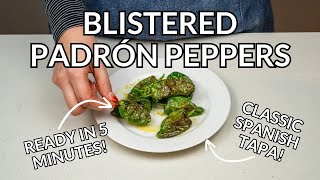 Blistered Spanish Padrón Peppers Easy Tapas Recipe [upl. by Kalasky]