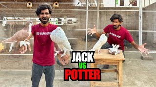 Kya Potter Ne Jack Se Dosti Karli [upl. by Ahcsat346]