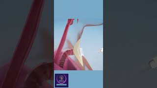 Laryngectomy Surgery Animation shorts [upl. by Arette]