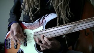 Melodic Fretless Bass Song with Double Stops  White Orchid [upl. by Nwadal597]