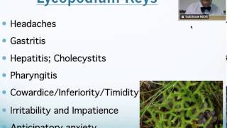 Lycopodium Homeopathic Medicine Tips For Beginners [upl. by Ajiak752]