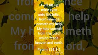 Psalm 12112 biblechapter scriptureinspiration godblessyou GodsWord [upl. by Adnohsor]