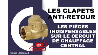 Les clapets antiretour sur les installations de climatisation central [upl. by Shina764]