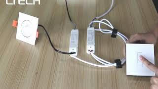 LTECHHow to connect DALI CC dimmable drivers with downlight [upl. by Najar144]