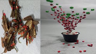 How to make tree using abrus precatorius seeds  DIY simple make tree from crabs eye seeds [upl. by Assiluy]