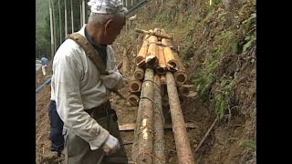 Master Craftsman Nagasawa Preserving Cultivation Techniques with Hand Tools in Modern Woodworking [upl. by Ellebyam949]