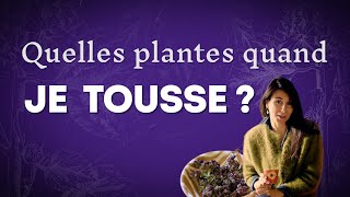 Toux grasse ou toux sèche  Quelles plantes [upl. by Calypso]