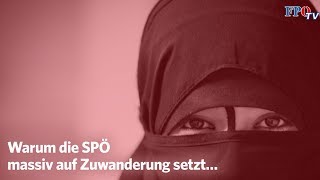 Warum die SPÖ massiv auf Zuwanderung setzt… [upl. by Ainuj]