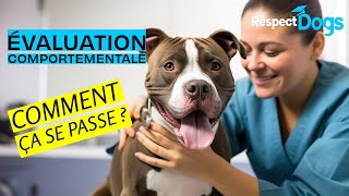 Evaluation comportementale du chien comment ça se passe [upl. by Aninnaig436]