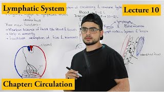 lymphatic system complete detail  Chapter Circulation  Video  10 [upl. by Vallery13]