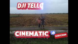 dji tello cinematic [upl. by Anny]