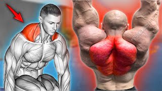 6 Best Exercises to Build Huge Traps Fast [upl. by Ayanet]