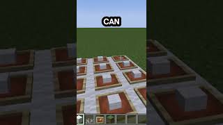 Best Carpet in Minecraft [upl. by Aime]