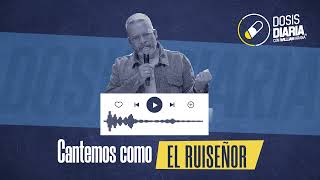 Dosis Diaria Roka  Cantemos como el ruiseñor [upl. by Lutim]