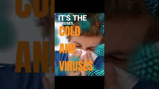 Cold and viruses facts science [upl. by Mintun]