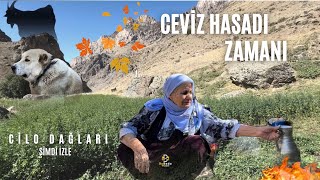 Cilo Dağları’nda Sonbaharın Büyüsü  ByBedo Documentary [upl. by Prospero]