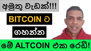 අමුතු වැඩක්  BITCOIN ට ගහන්න මේ ALTCOIN එක රෙඩි [upl. by Heyward]