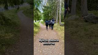 An unexpected meeting in the Björnö Nature Reserve  Björnö Reservatet  Ingarö Sweden 🇸🇪 [upl. by Banky]