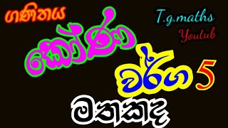 kona warga  කොණ වර්ග 5  sl maths  grade 611  lesson  sinhala maths [upl. by Debbie]