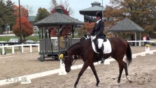 Michelle Warro amp Best Things In Life Dressage Retired Racehorse Project Thoroughbred Makeover 2015 [upl. by Lertram]