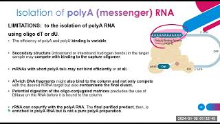 nucleic acid extraction methods part 2 [upl. by Yenor]