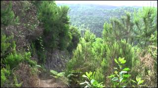 La Palma  Wandern auf quotLa Isla bonitaquot [upl. by Seem]