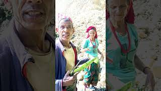 New nepali dasai songs [upl. by Skinner]