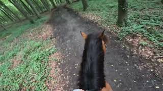 I TOOK THE BRIDLE OFF MID RIDEđź«Łđź‘€ helmet cam [upl. by Ajaj300]