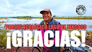 Conociendo los humedales del Parque Ecológico Lago de Texcoco [upl. by Anisamoht105]