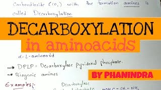 Decarboxylation of Aminoacids  Aminoacids metabolism [upl. by Yelrebma]