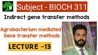 indirect gene transfer methods  gene transfer by agrobacteriumagrobacterium mediated gene transfer [upl. by Niuqram]