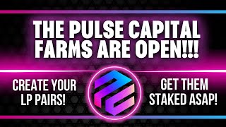 Pulse Capital Just Went Live [upl. by Nader333]