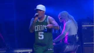 Limp Bizkit  05  Gold Cobra Live Graspop 2012 [upl. by Llerret]