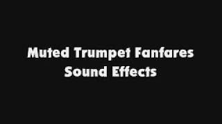 Muted Trumpet Fanfares SFX [upl. by Koetke]