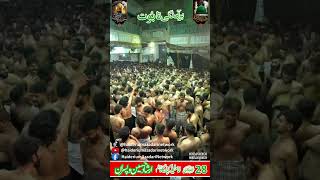 Taboot 28 SAFAR SHAHADAT IMAM HASSAN MUJTAB AS Imamia imam bargah jhelum short taboot [upl. by Agna801]