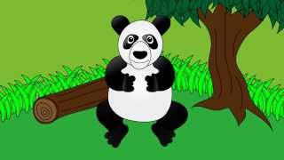 Meet the Panda  Animals at the Zoo  Animal Sounds  Learn the Sounds Zoo Animals Make [upl. by Conn728]