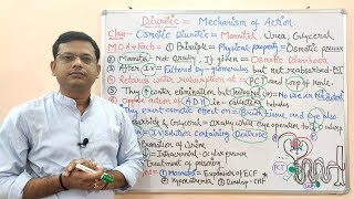 Diuretic Part4 Osmotic Diuretic Mechanism of Action  Osmotic Diuretics  Diuretic Classification [upl. by Notwen]