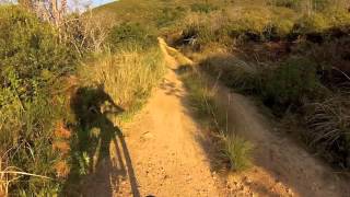 Puff Adder Strikes Mountain Biker at Jonkershoek [upl. by Virgie]